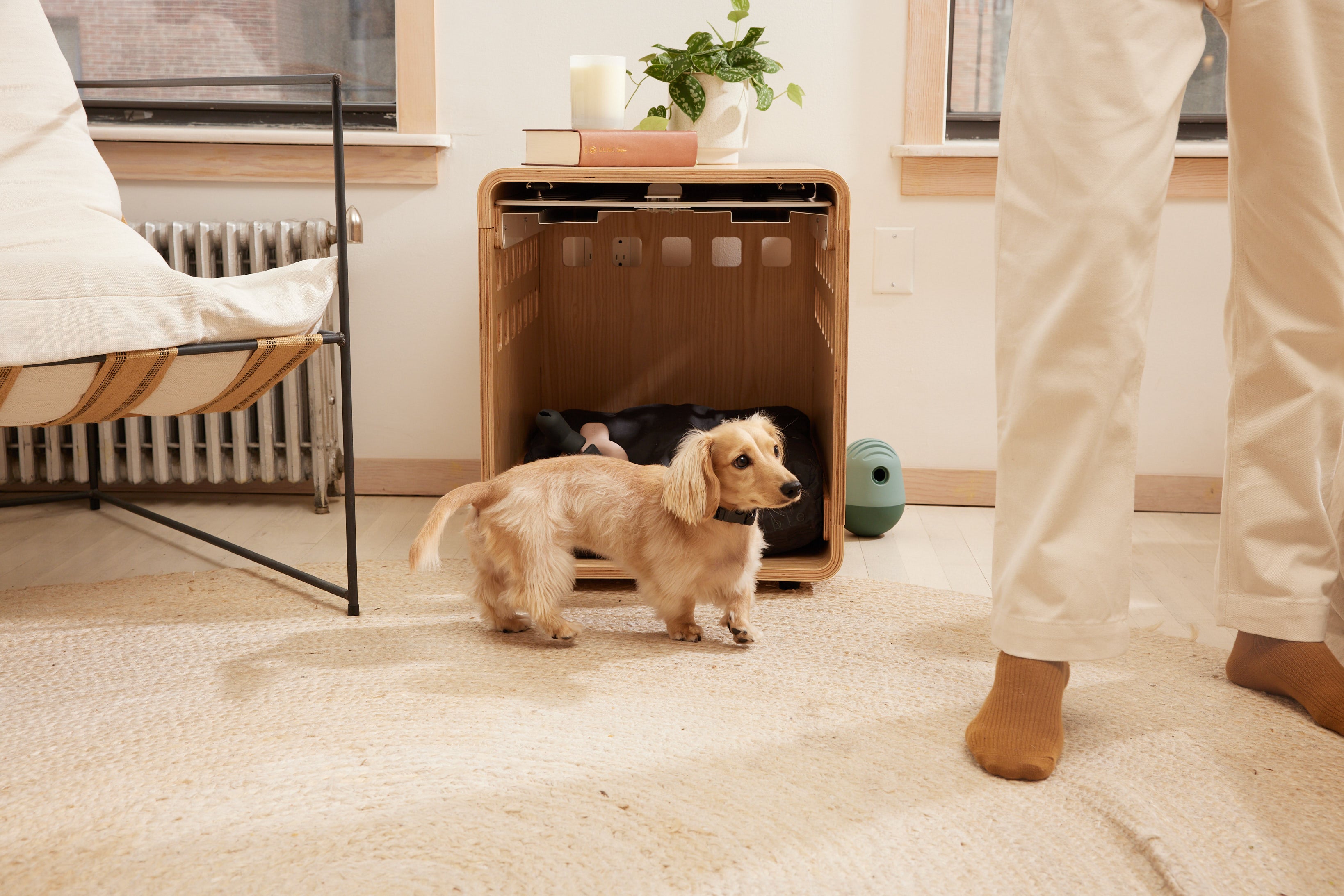 Fable |
Fable Pets | Innovative Pet Gear That Solves Real Problems