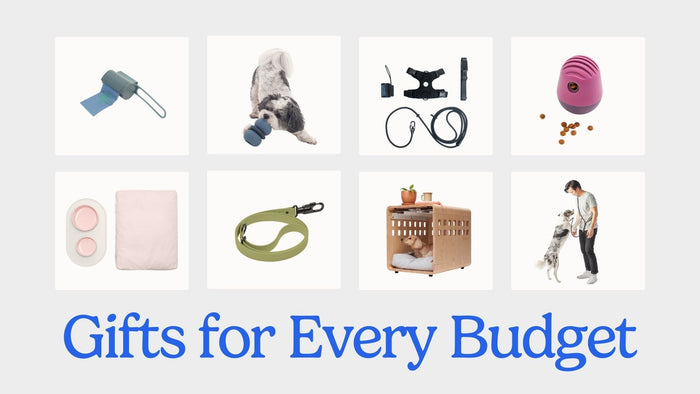 Gifts for Every Budget