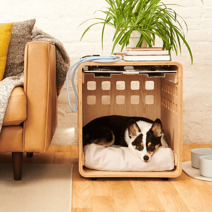 Beautiful dog crate furniture end table in a chic livingroom with fablepets toys and plants