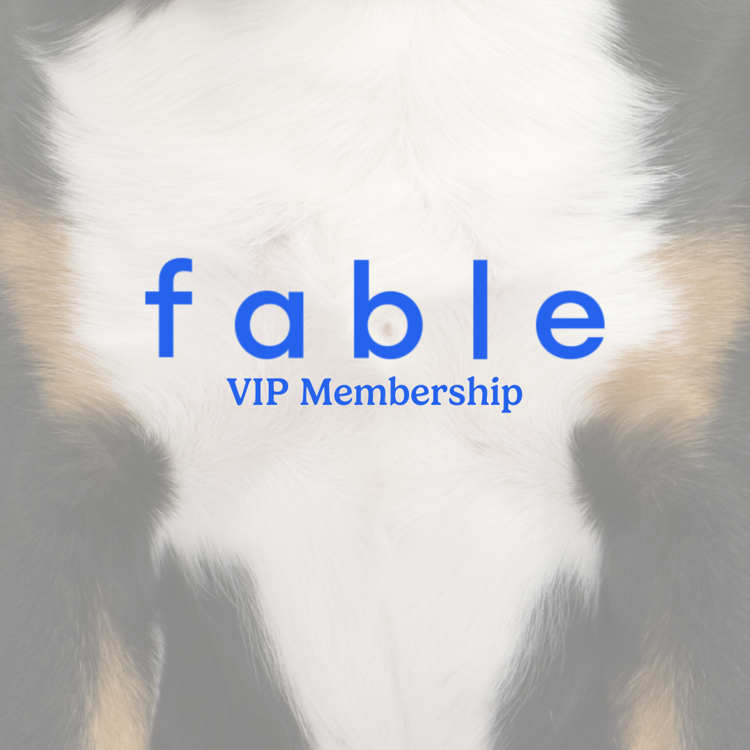 Something BIG is coming soon - Fable Pets