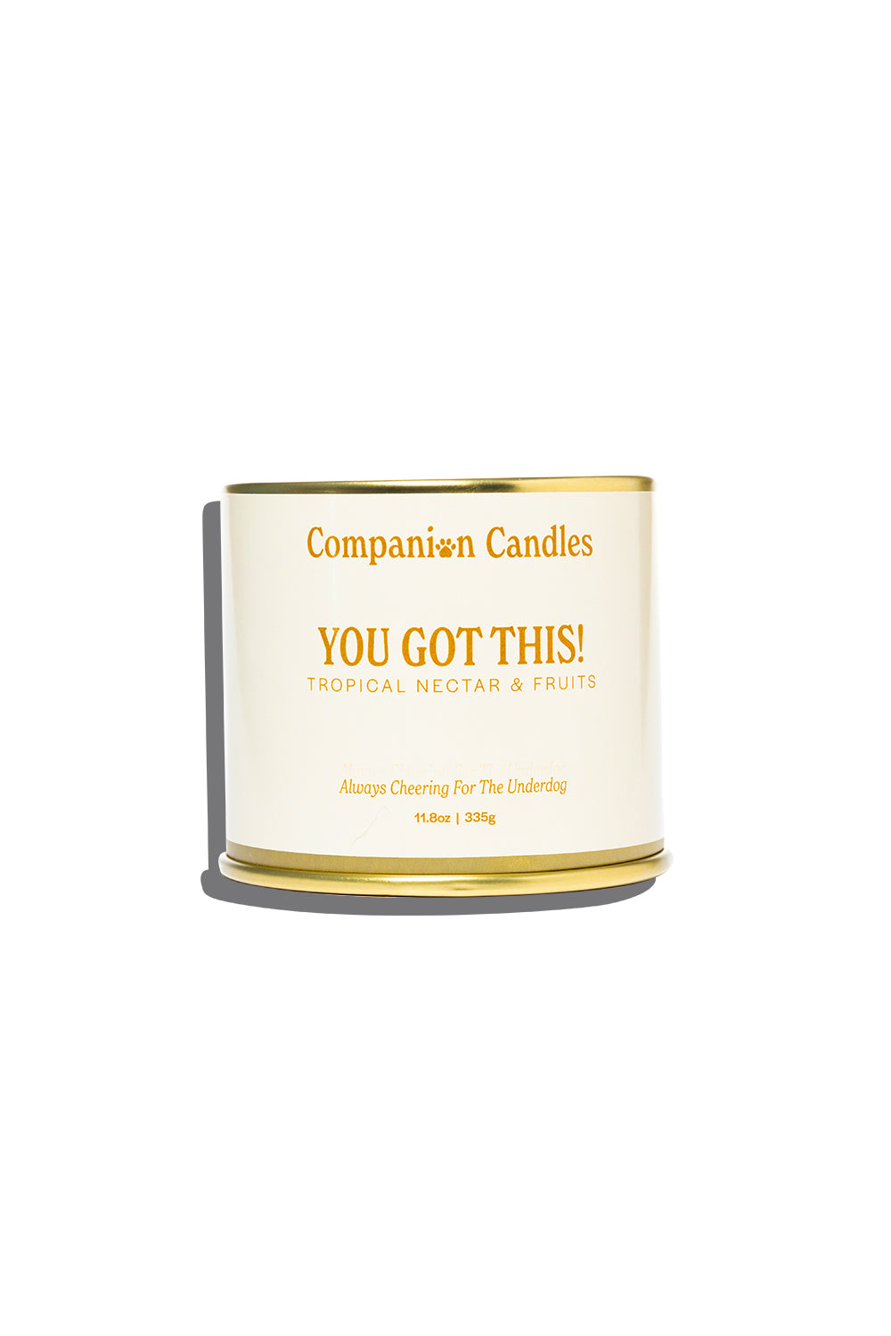 Companion Candles You Got This!