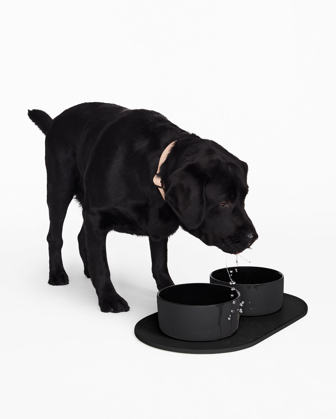 Fable | Chic & Clean Dog Bowl Mat — Signature Bowl Mat