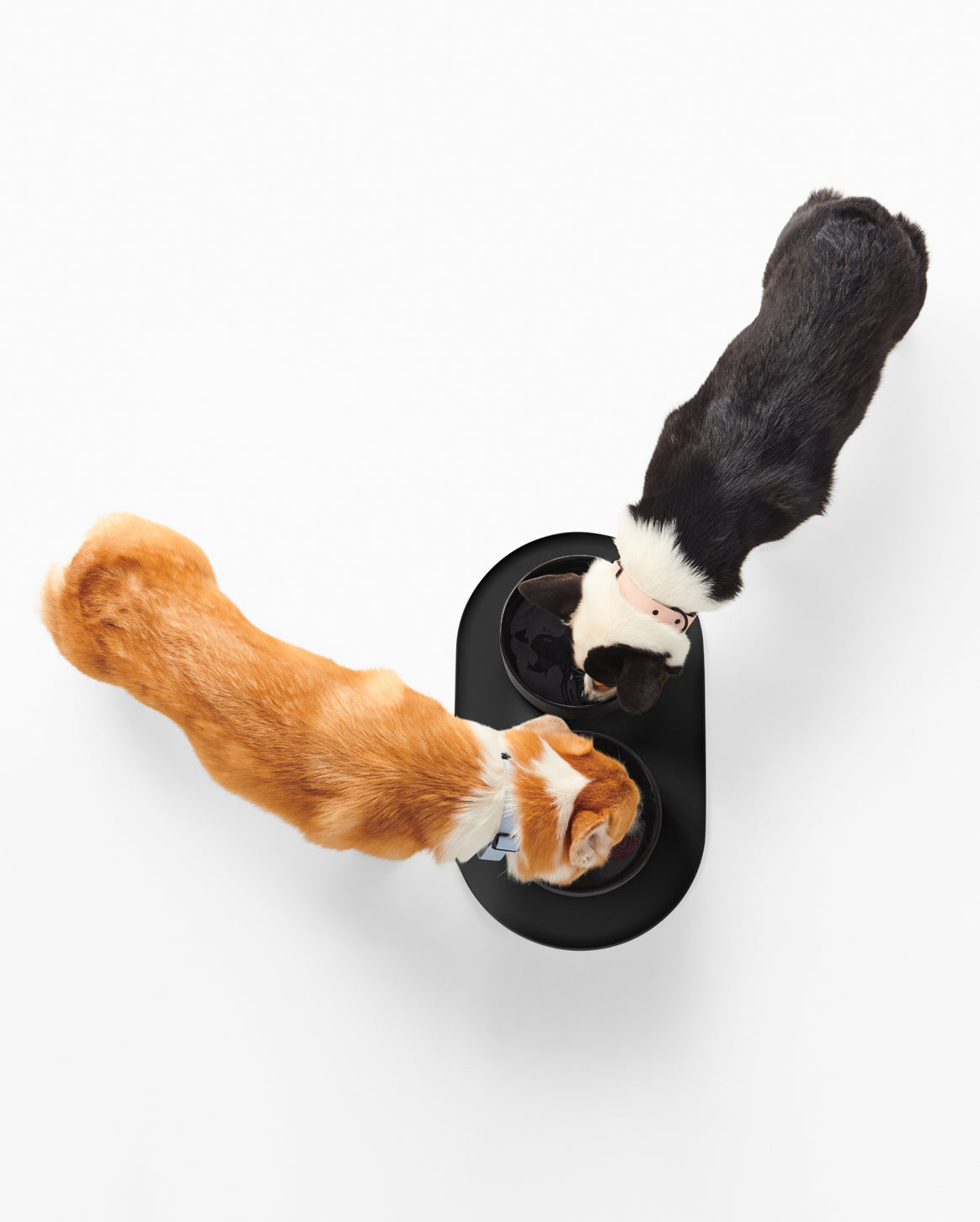 Fable | Chic & Clean Dog Bowl Mat — Signature Bowl Mat