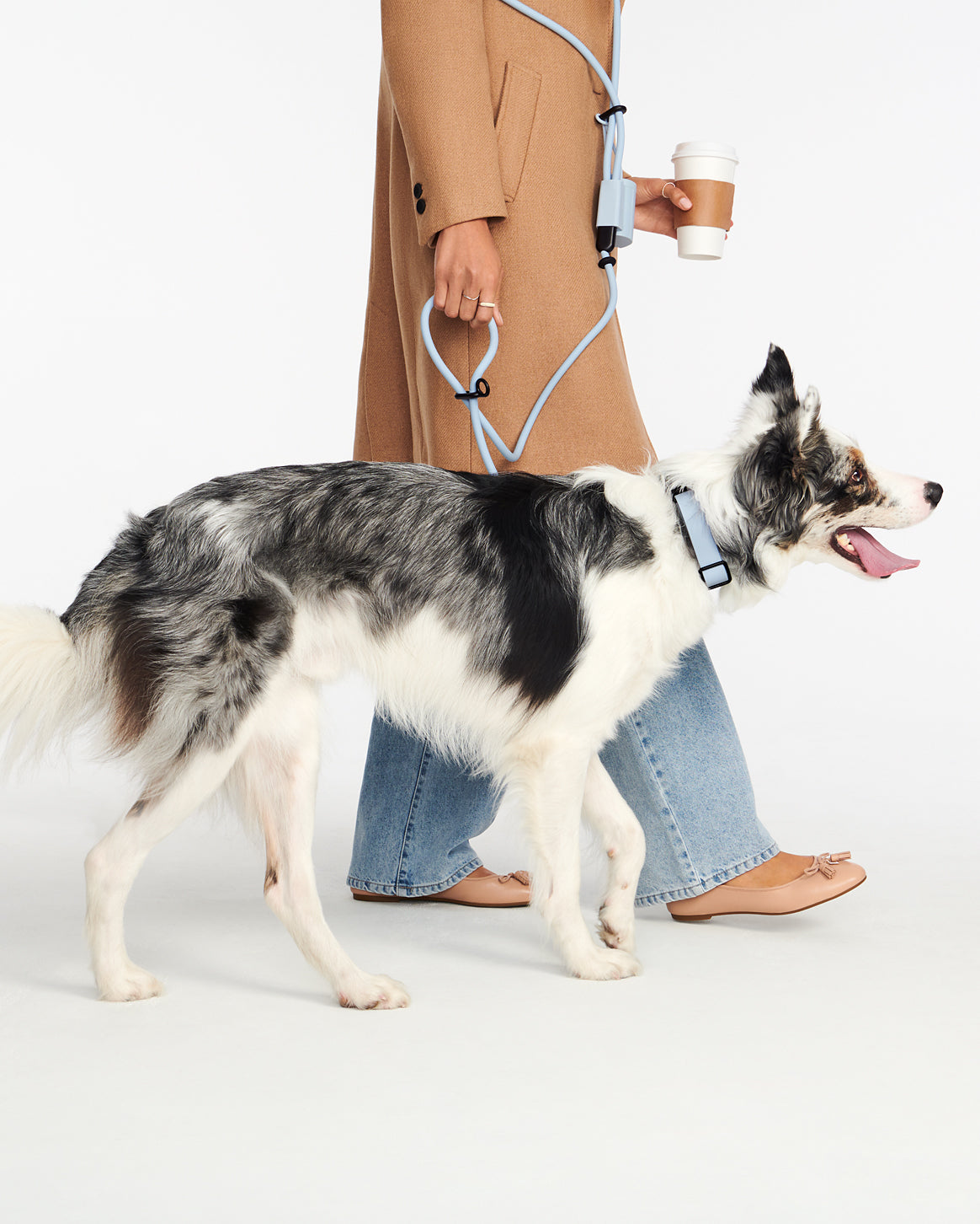 Fable | Dog Walking Set — Hands-Free plus Waste Bag Holder | Fable