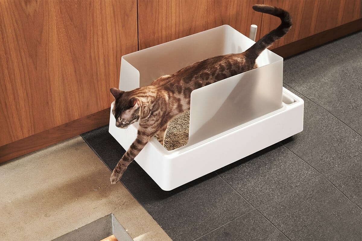 best litter box for declawed cats Fable