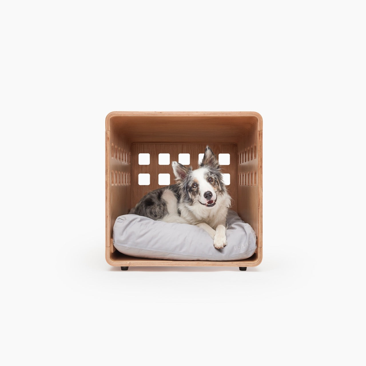 mini dog crate