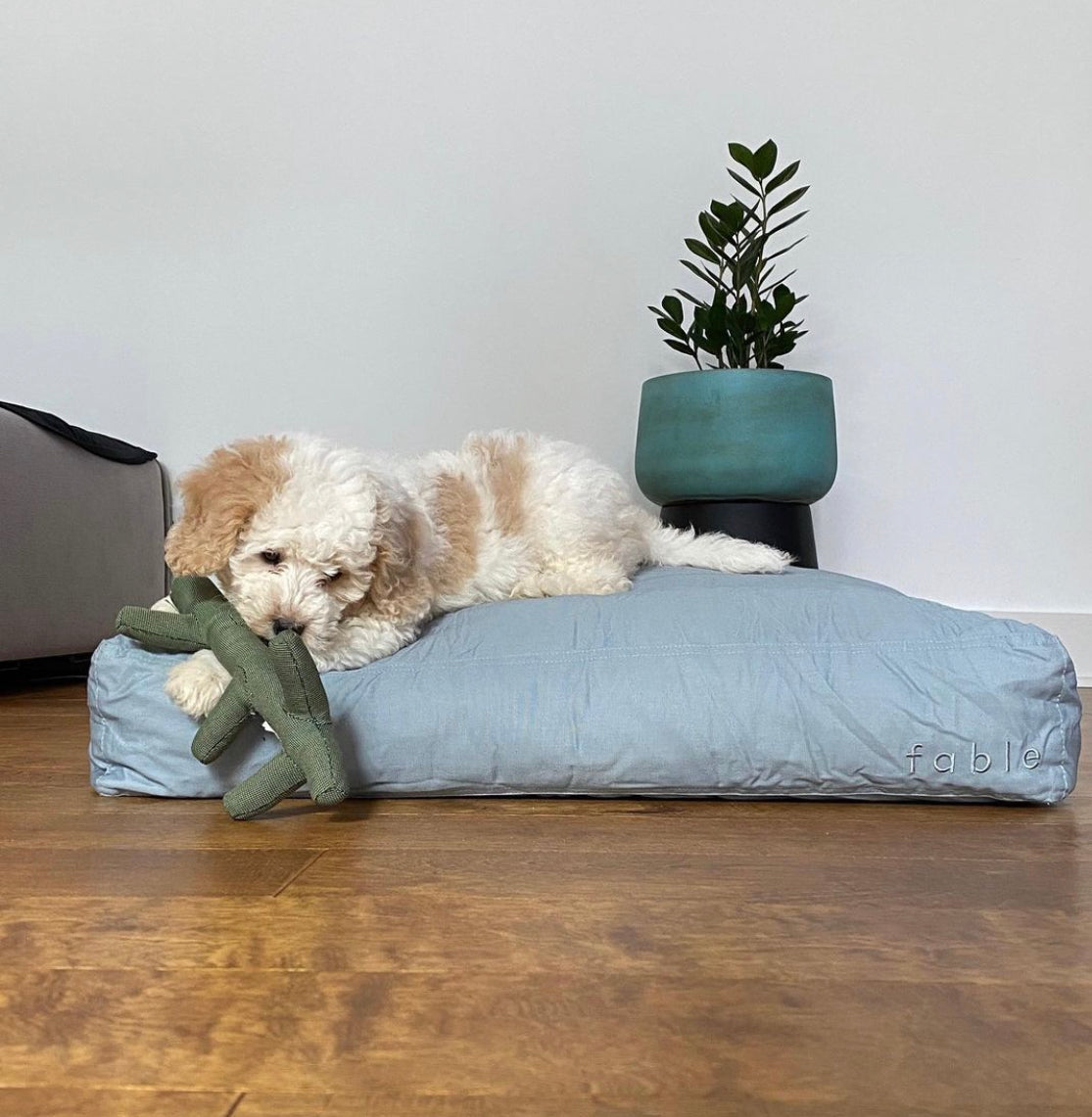 Fable  Dog Bed - Modern Designs for Small and Big Dogs