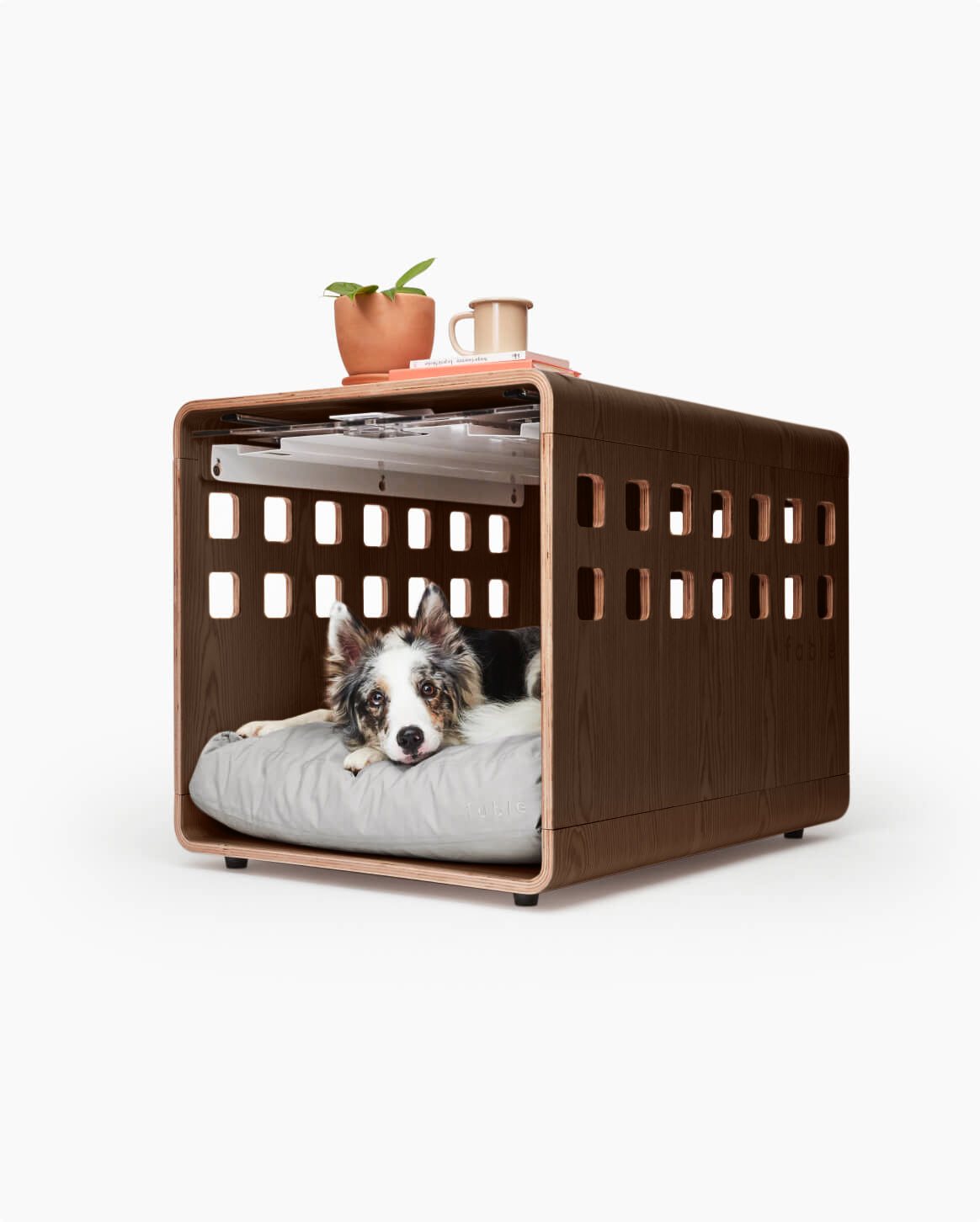 Fable Crate Makes the Best Looking Dog Crate on the Market