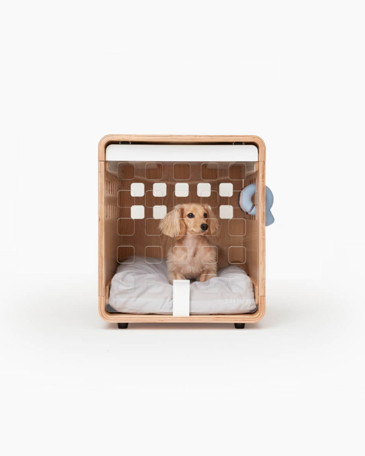 Fable Signature Crate modern bentwood dog crate