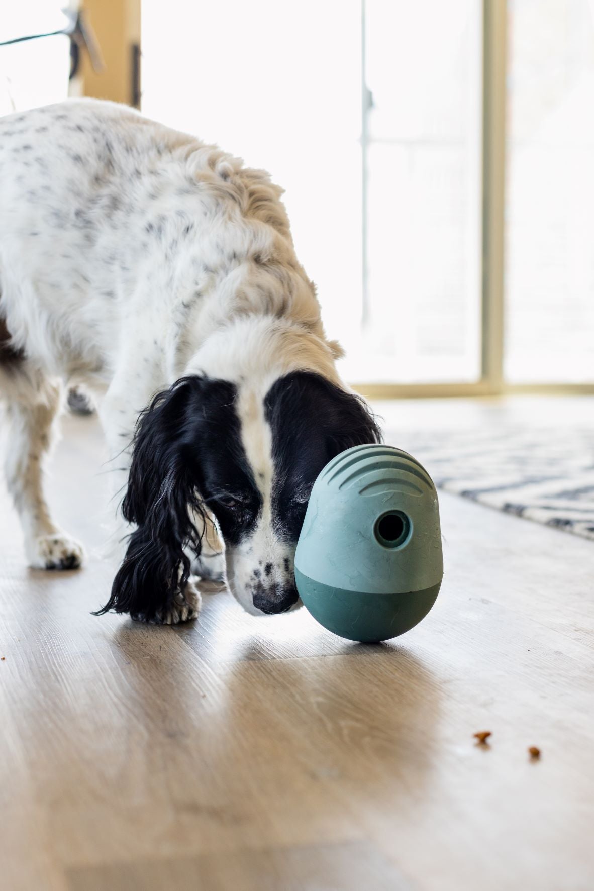 Fable Pets dog toy review: We test the game and the falcon toy