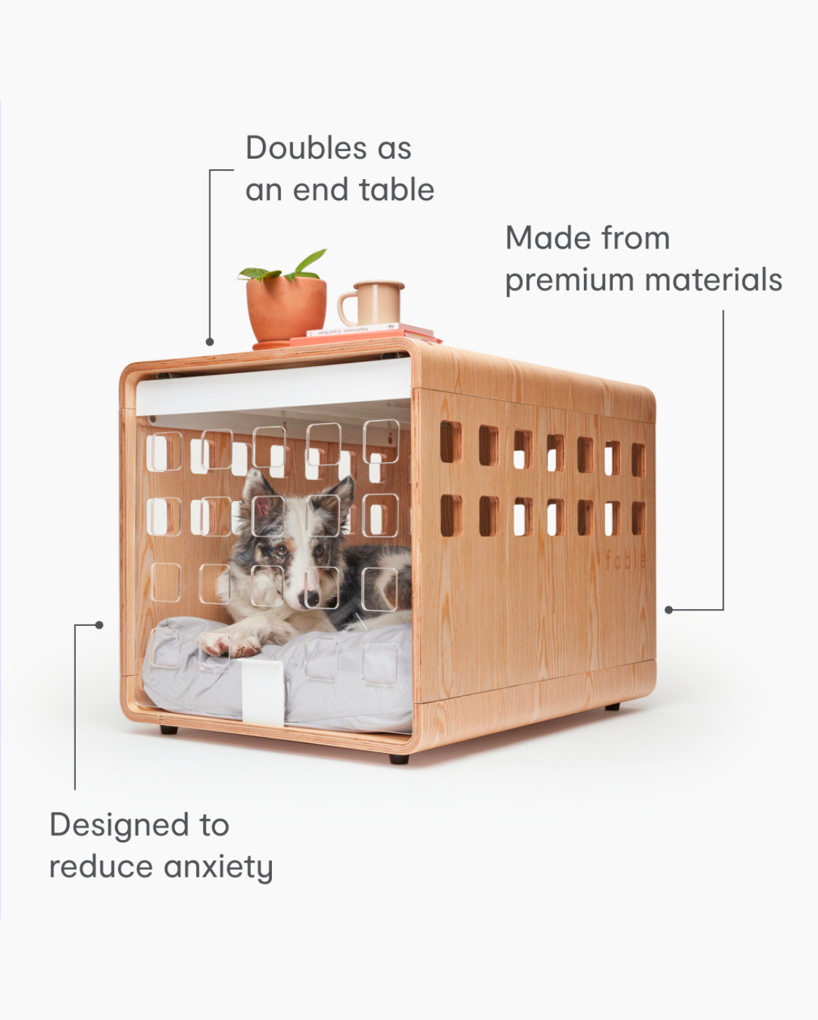 Buy a dog crate online
