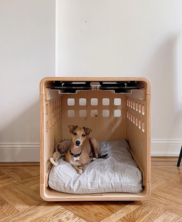 Italian greyhound crate clearance