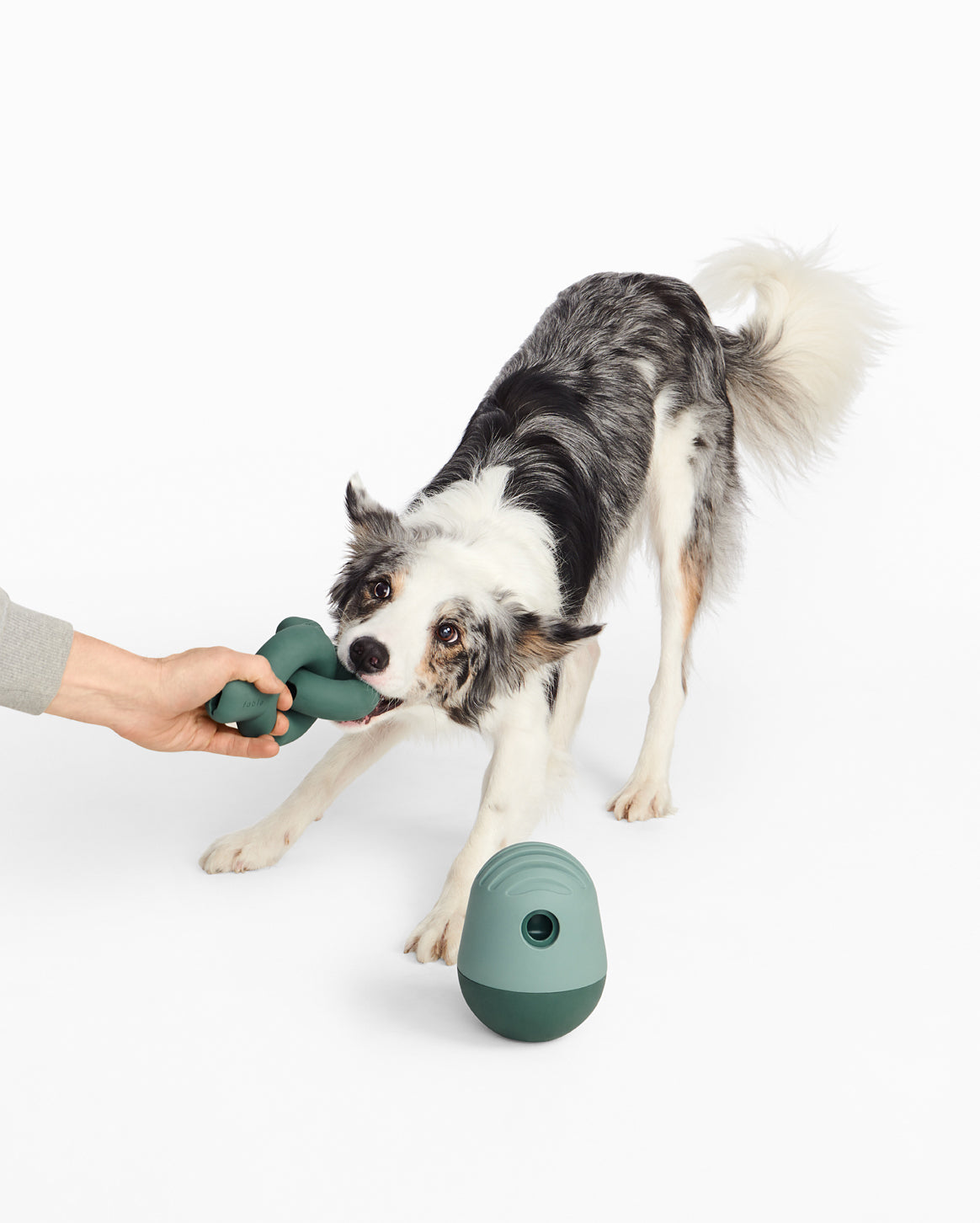 Fable  The Game - Best Dog Enrichment Toy & Feeder In One