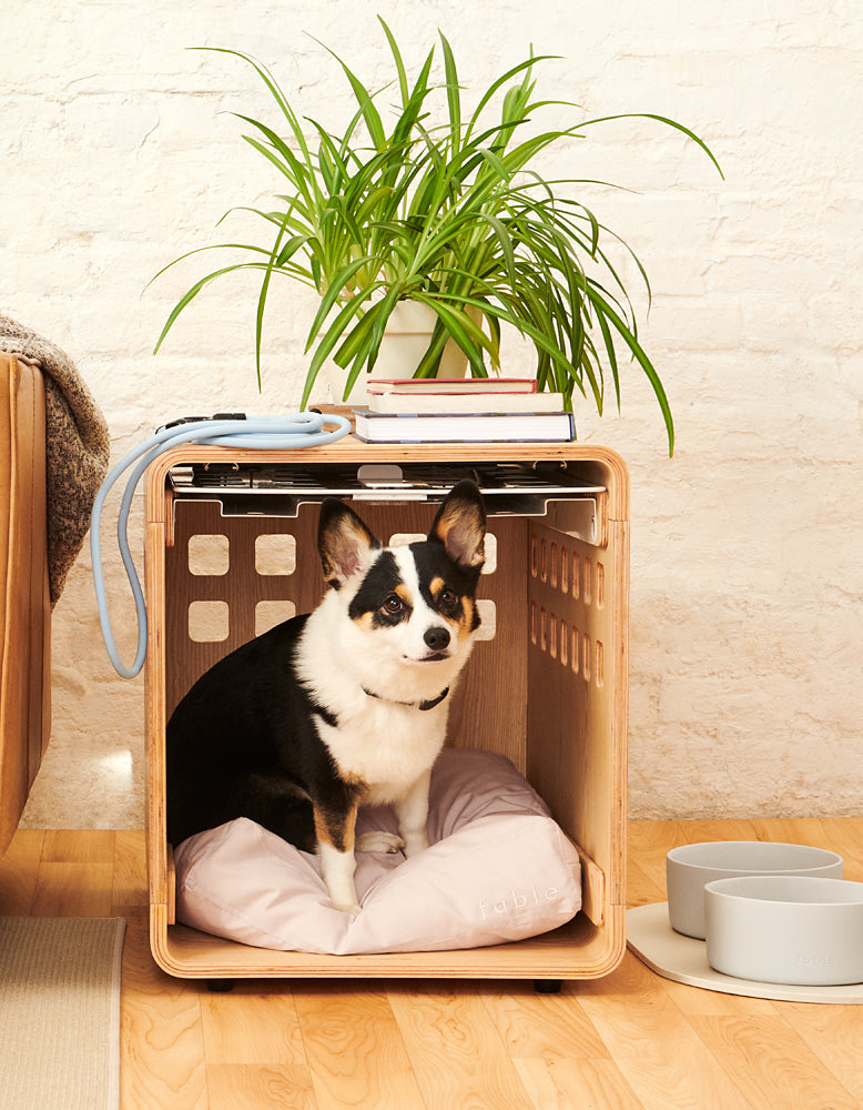 Fable, A Stylish Dog Crate & Furniture In One