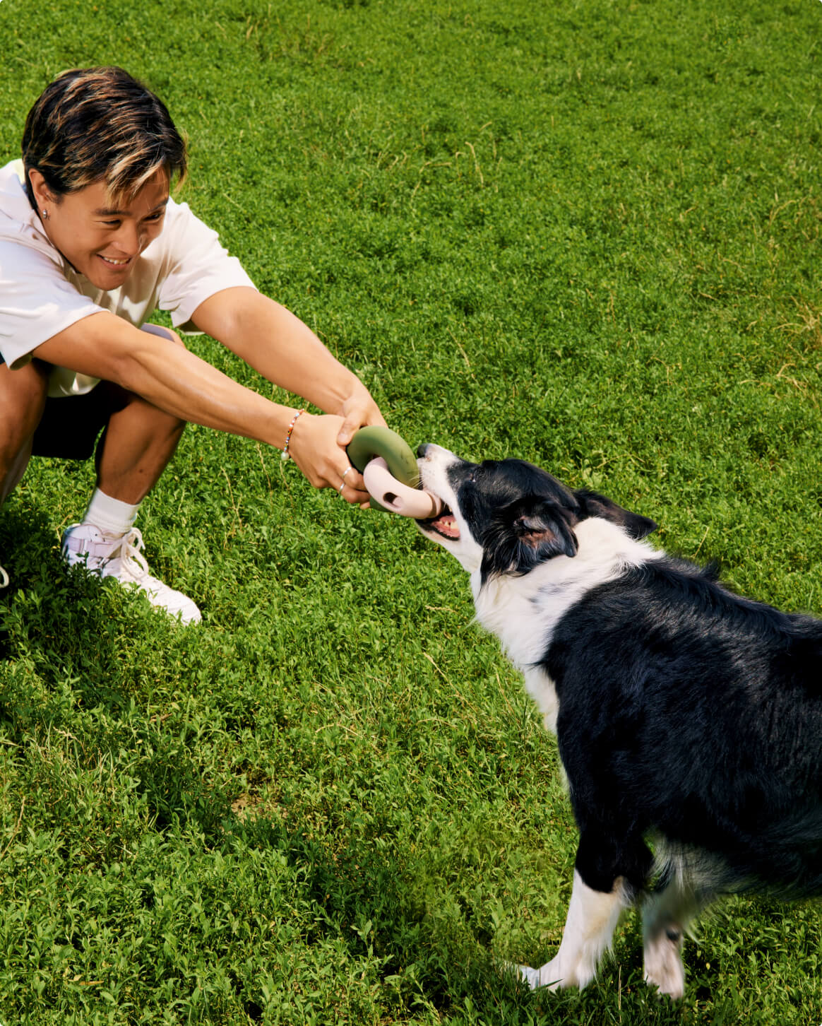 Fable Dog Toys- Environmental Enrichment for your Dog - Journeys and Jaunts