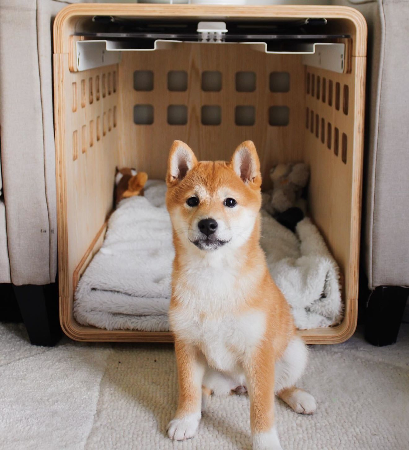 Fable Crate Makes the Best Looking Dog Crate on the Market - InsideHook